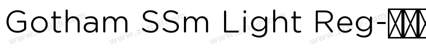 Gotham SSm Light Reg字体转换